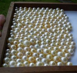 Loose Cream South Sea Pearl