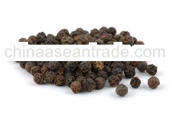 Black Peppercorn