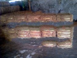 Coconut Fiber Pariaman