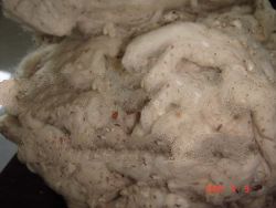 cotton dropping waste