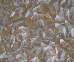 mother of pearl tiles from shell tectus