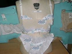 Fancy Embroidery Blue