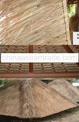 Alang - Alang / natural thacth