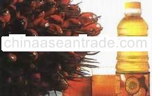 Cooking Oil (RBD Palm Olein)