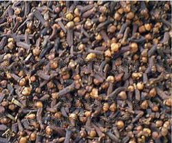 n Agricultural Red Raw Dried Clove Spices