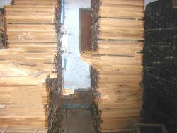 Teak Wood