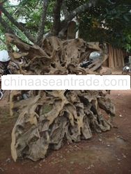Teak Root Screen