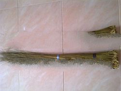 Palm Broom