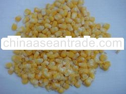 Frozen Sweet Corn Kernel