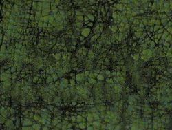 Batik Cracking fabric