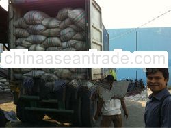 Coconut Shell Charcoal