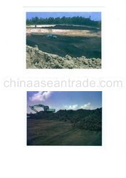 Steam Coal