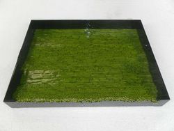 Lacquer tray, mother of pearl tray, square tray