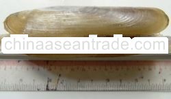 Frozen Razor Clam