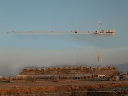 Tower Crane