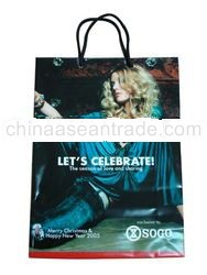 HDPE / LDPE Plastic Shopping Bag, Rope Handle Bag
