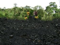  Steam Coal GCV adb 5500 - 5300 Kcal/kg