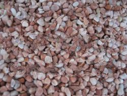 Natural Pink Pebble Stone (PT-HPT)