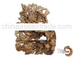 Decorative Root Stand