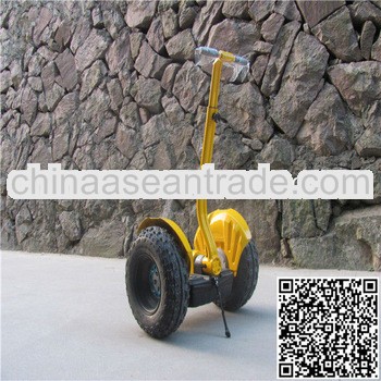 electric chariot for business