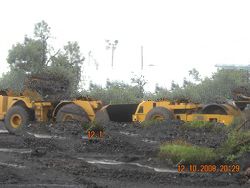 Steam Coal