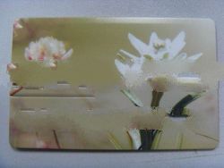 Card USB with color printing, popular gift ideas