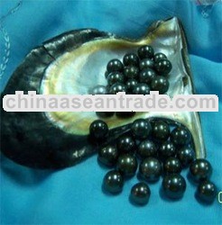 Black South Sea Pearl