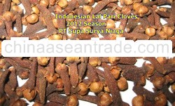 Reddish brown Cloves from 