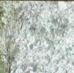 GREEN DANOO STONE