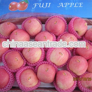 export fresh names of all dry fruits tastes sweet and juicy very much in competitive price from big 