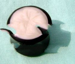 Organic Body Jewelry