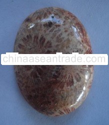 Agate Fossil Pendants