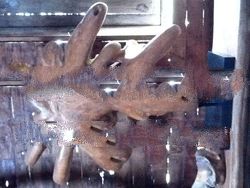 Teak root with stand