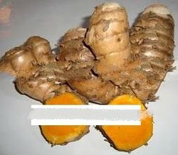 Curcuma