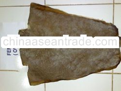 Female stingray skin