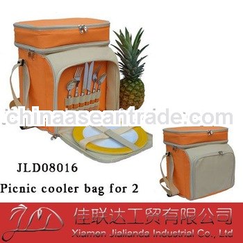 family size picnic cooler bag