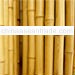 BAMBOO FENCE POLES