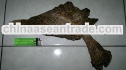 Double Super King Kallimantan Agarwood (Mint/Menthol)