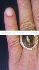 >>>ring and a seashells fosil<<<