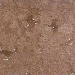 Natural Square New Imperial Polished Red Granite Flooring Design