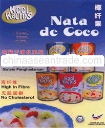 CANNED NATA DE COCO 565g series