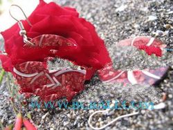 Sea Shell Earrings Handmade