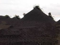 steam coal indonesian origin
