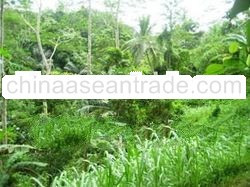 land and property