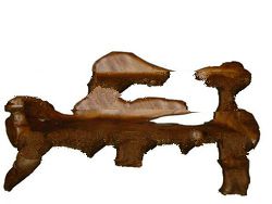 Teak Root Bench Medium