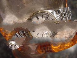 Ladies watch oyster