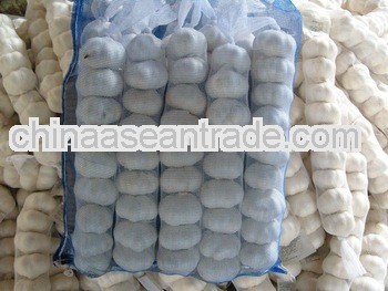 fresh Chinese 3p pure white garlic