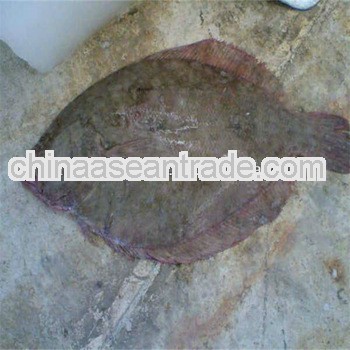 fresh and quality seafood with salted dried fish