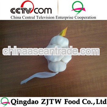 fresh garlic specification price for sale in shandong China 2013