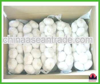 fresh garlic-----top distributor